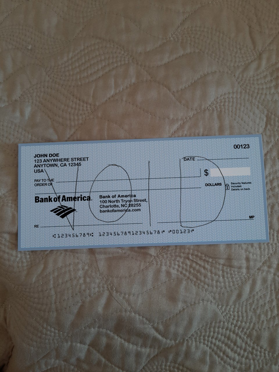 bank_check_preview_8P9sLsa