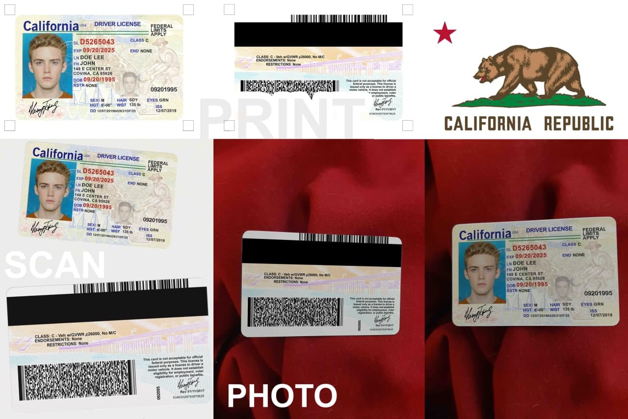 california_dl_result