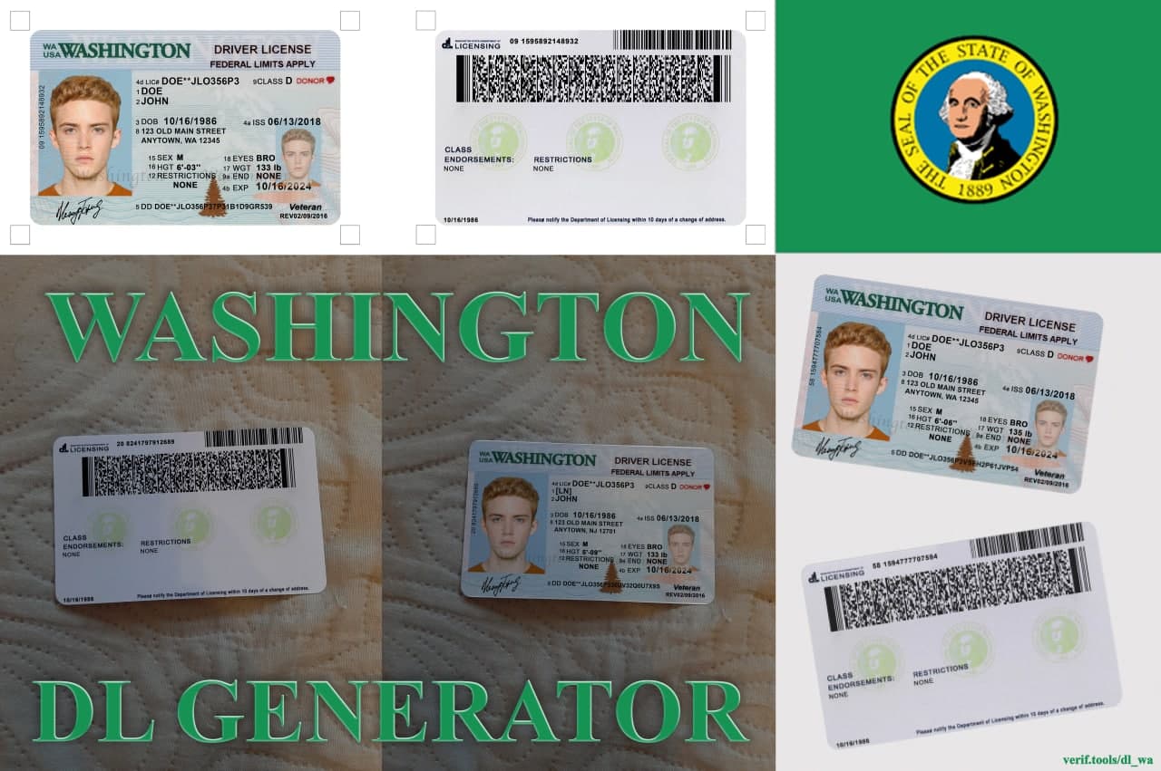 dl_washington_preview