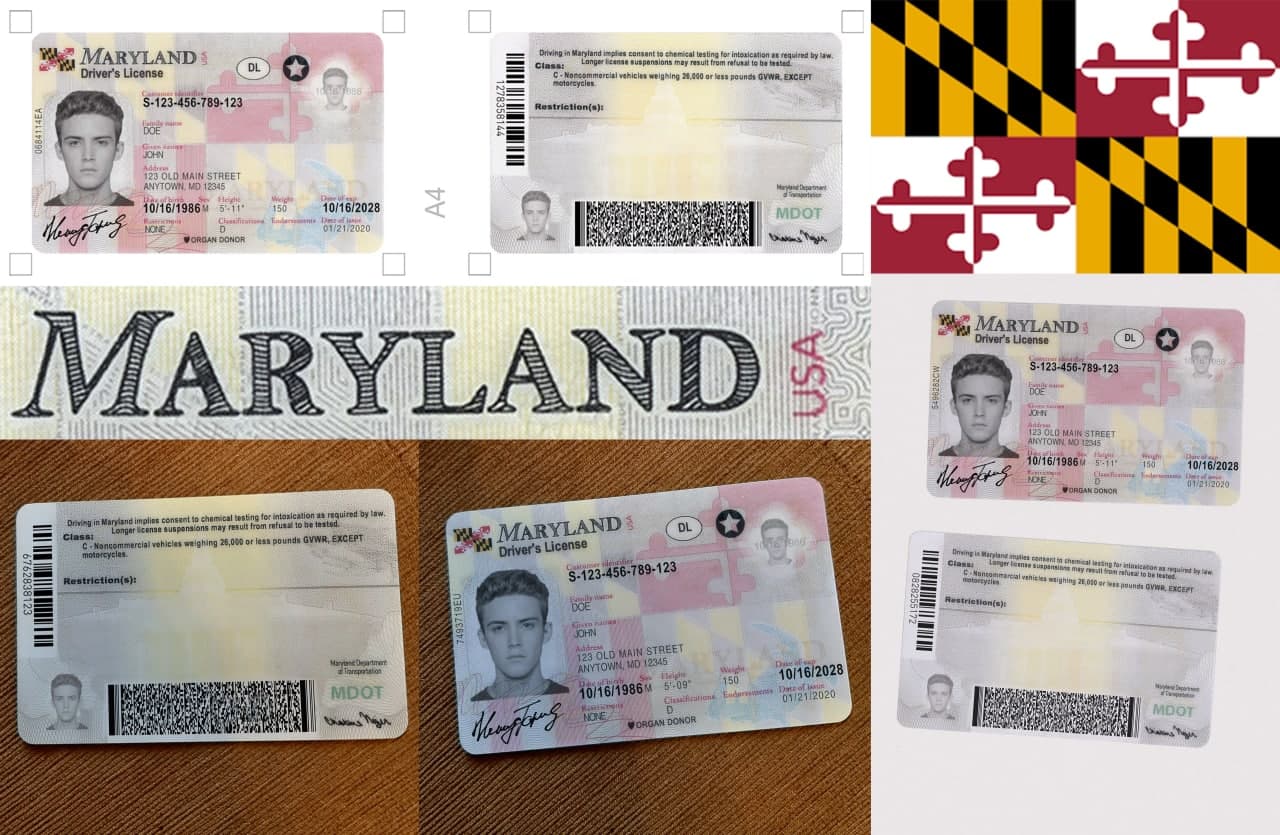 maryland_dl_preview
