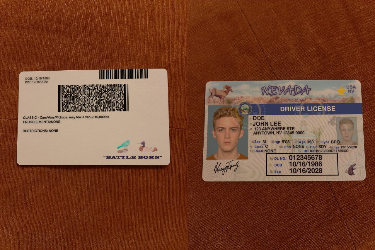 usa_nevada_drivers_license_result